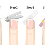 正しい爪切りの方法と道具の使い方を示すイラスト。適切な切る角度、長さの目安、爪やすりの使用法を段階的に解説した実践的な図解