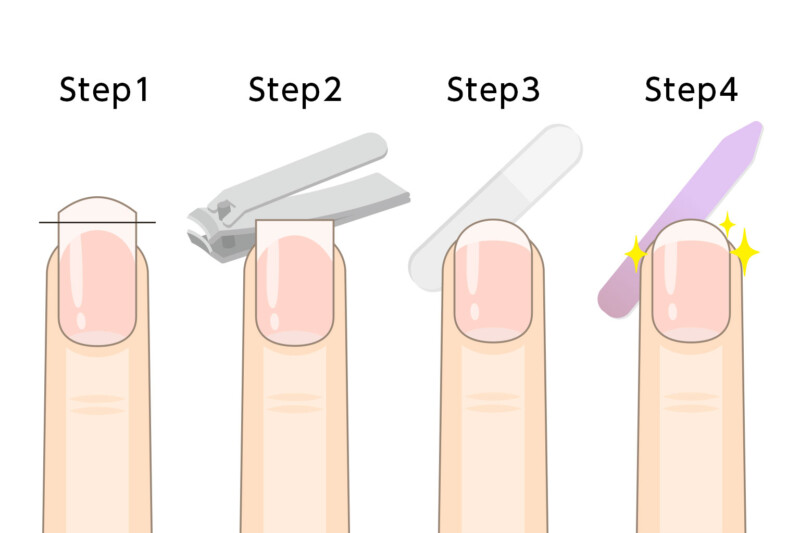 正しい爪切りの方法と道具の使い方を示すイラスト。適切な切る角度、長さの目安、爪やすりの使用法を段階的に解説した実践的な図解
