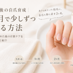 自爪が整いつつある手元の柔らかな自然光、爪噛みからの自爪育成3ヶ月の目安を象徴するイメージ